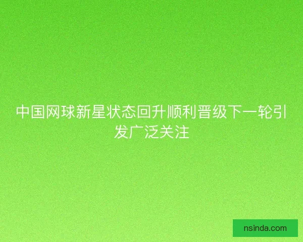 中国网球新星状态回升顺利晋级下一轮引发广泛关注