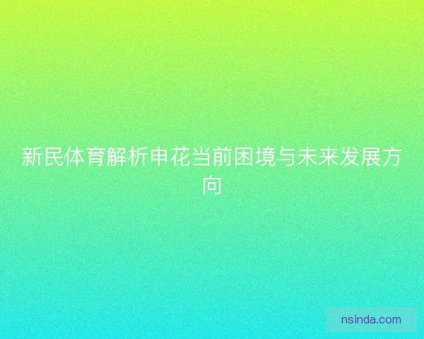 新民体育解析申花当前困境与未来发展方向